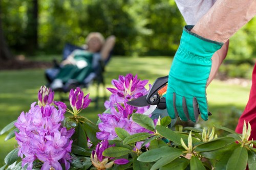 Whitechapel tree surgeons using trained procedures and public liability insurance protections