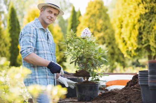Management overseeing anti-slavery training and governance in tree surgery